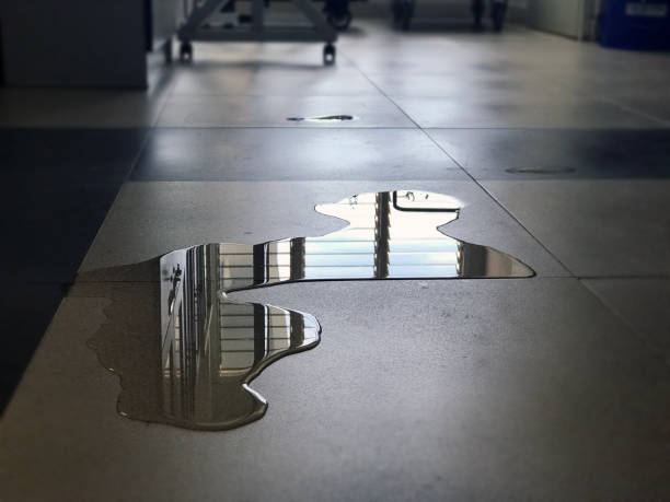 Best Water damage restoration insurance claims  in Denver, PA