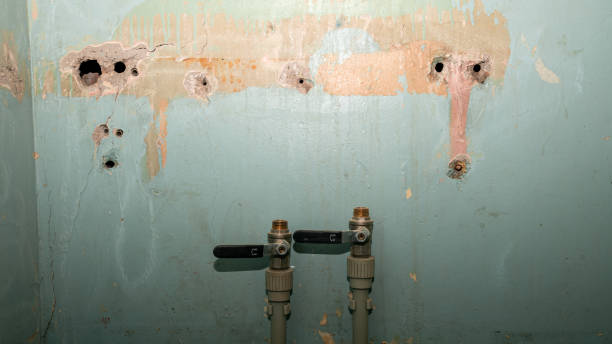 Best Professional water damage repair  in Denver, PA