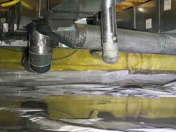 Best Mold removal after water damage  in Denver, PA